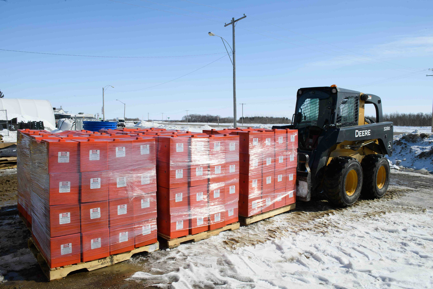 Pallets of orange hybrid sleepers at the Koenders plant